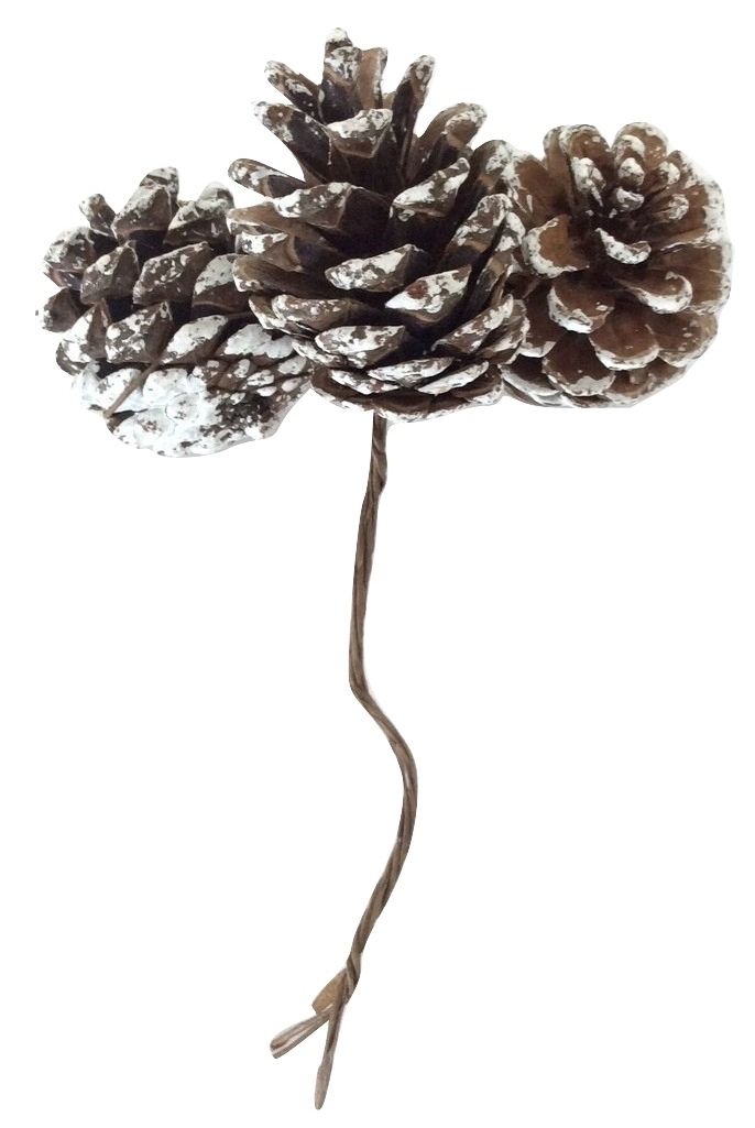 15 White Tipped Pine Cones On Wire - 5 Sets of 3 Cones